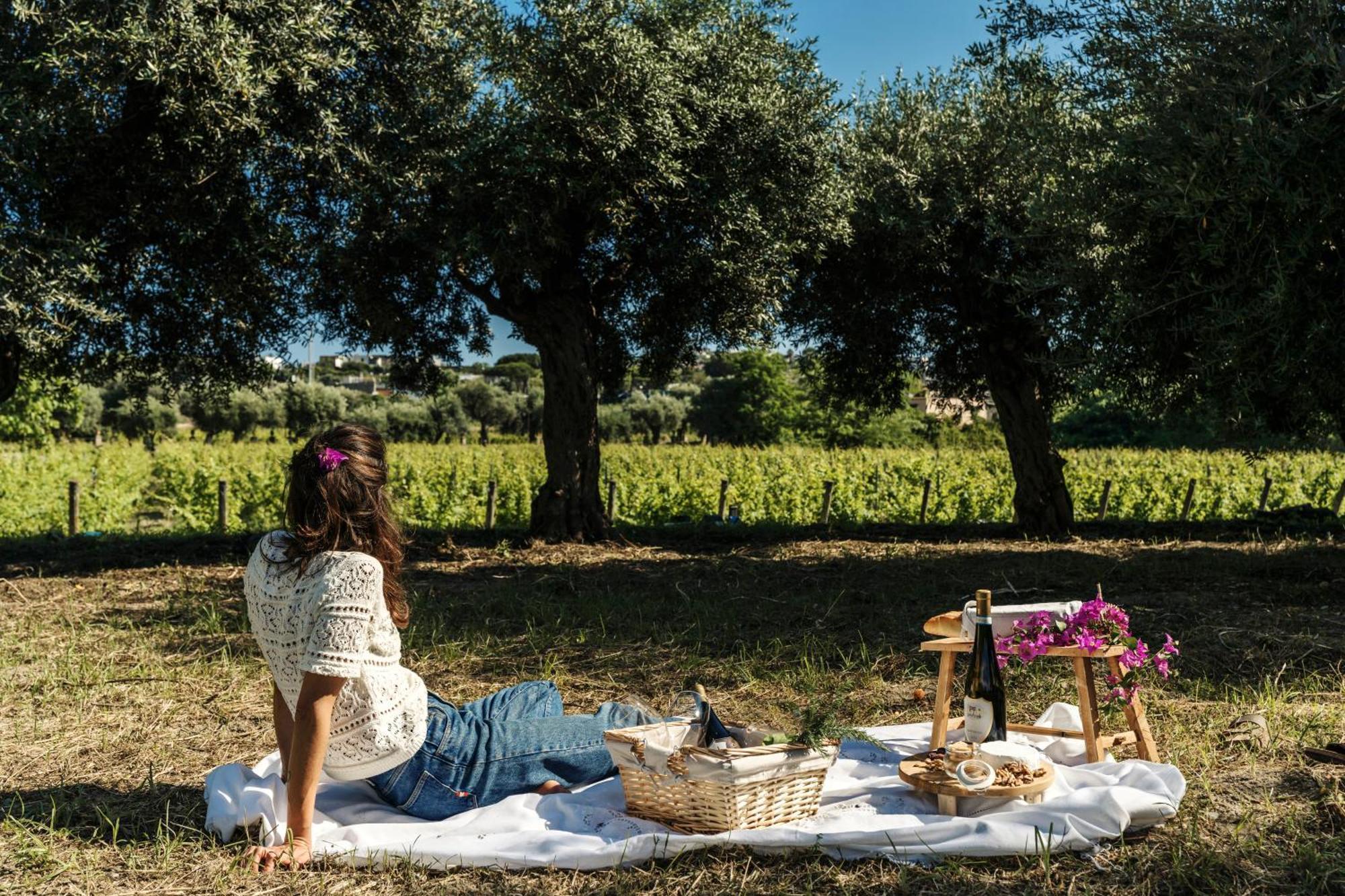 Tenuta Calitto Wine Resort E Spa Ischia Exteriör bild