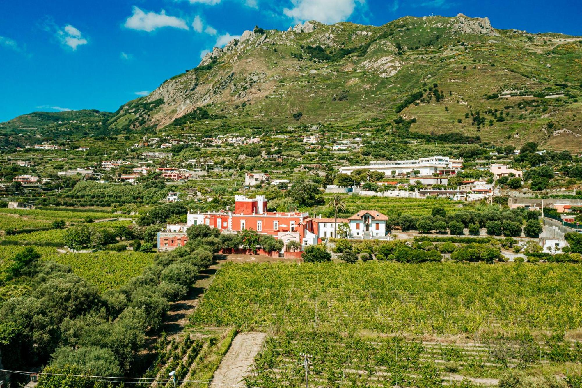 Tenuta Calitto Wine Resort E Spa Ischia Exteriör bild