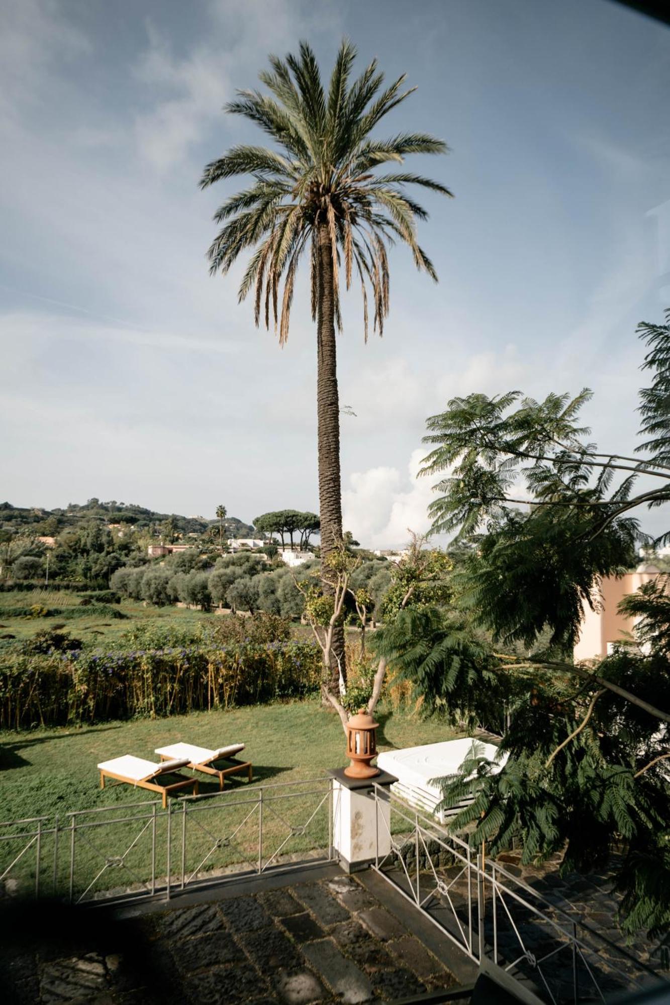 Tenuta Calitto Wine Resort E Spa Ischia Exteriör bild