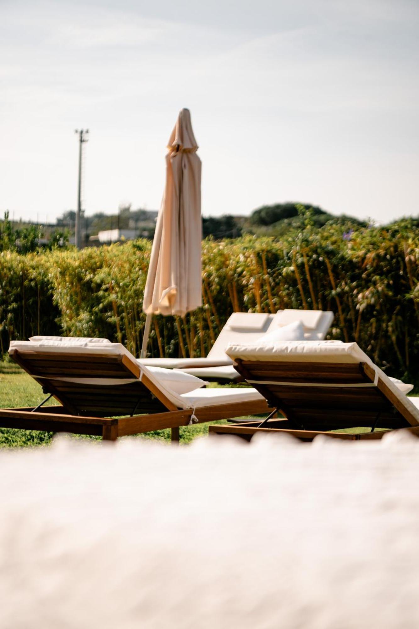 Tenuta Calitto Wine Resort E Spa Ischia Exteriör bild